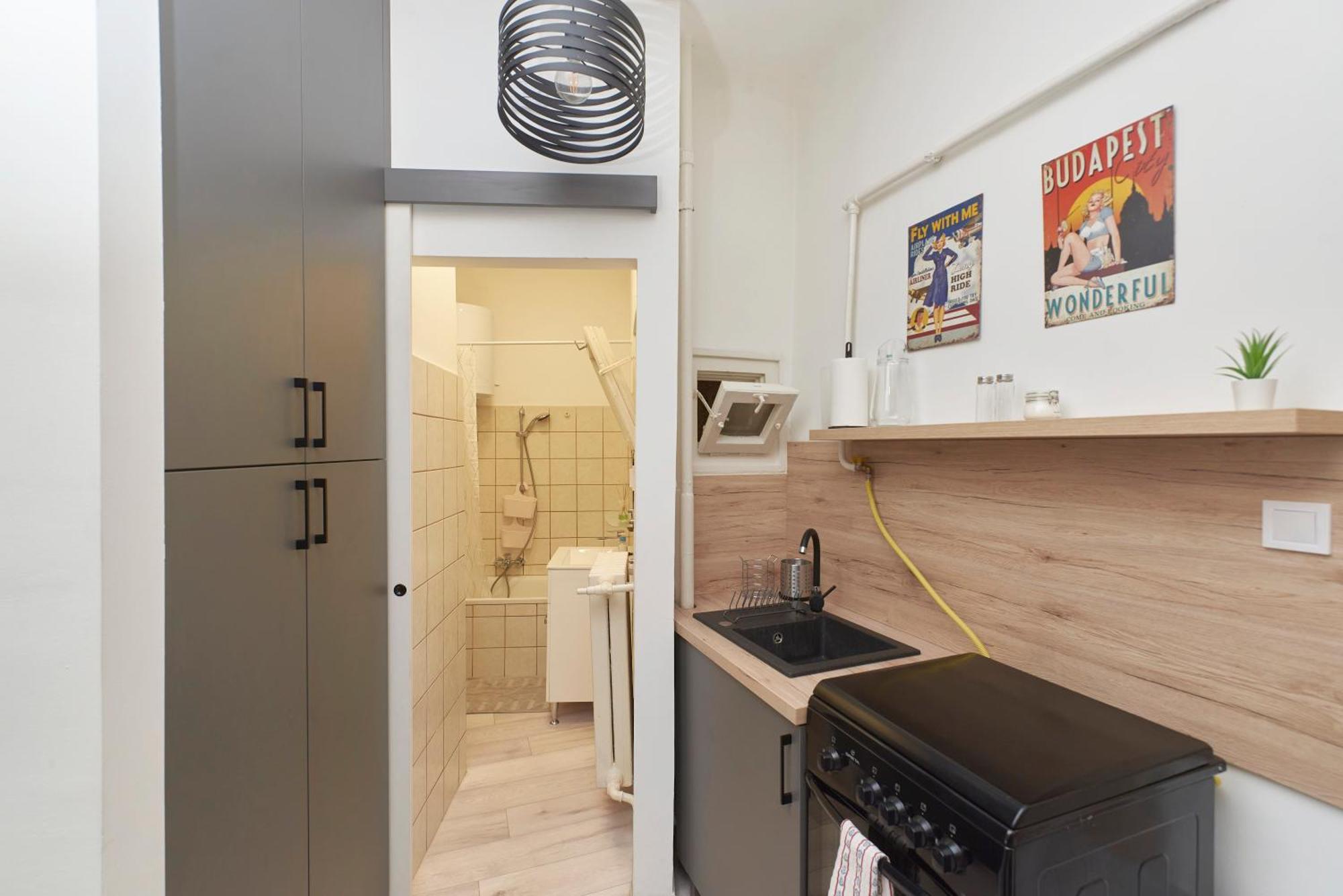 Apartment Tinodi Down Town