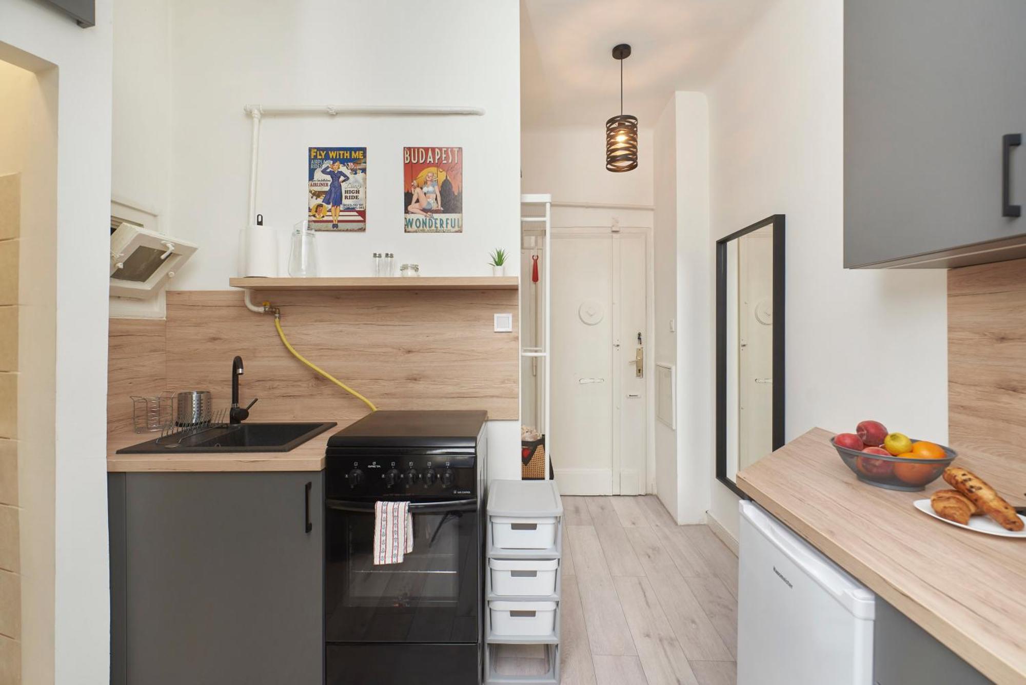 Tinodi Down Town Apartment Budapest