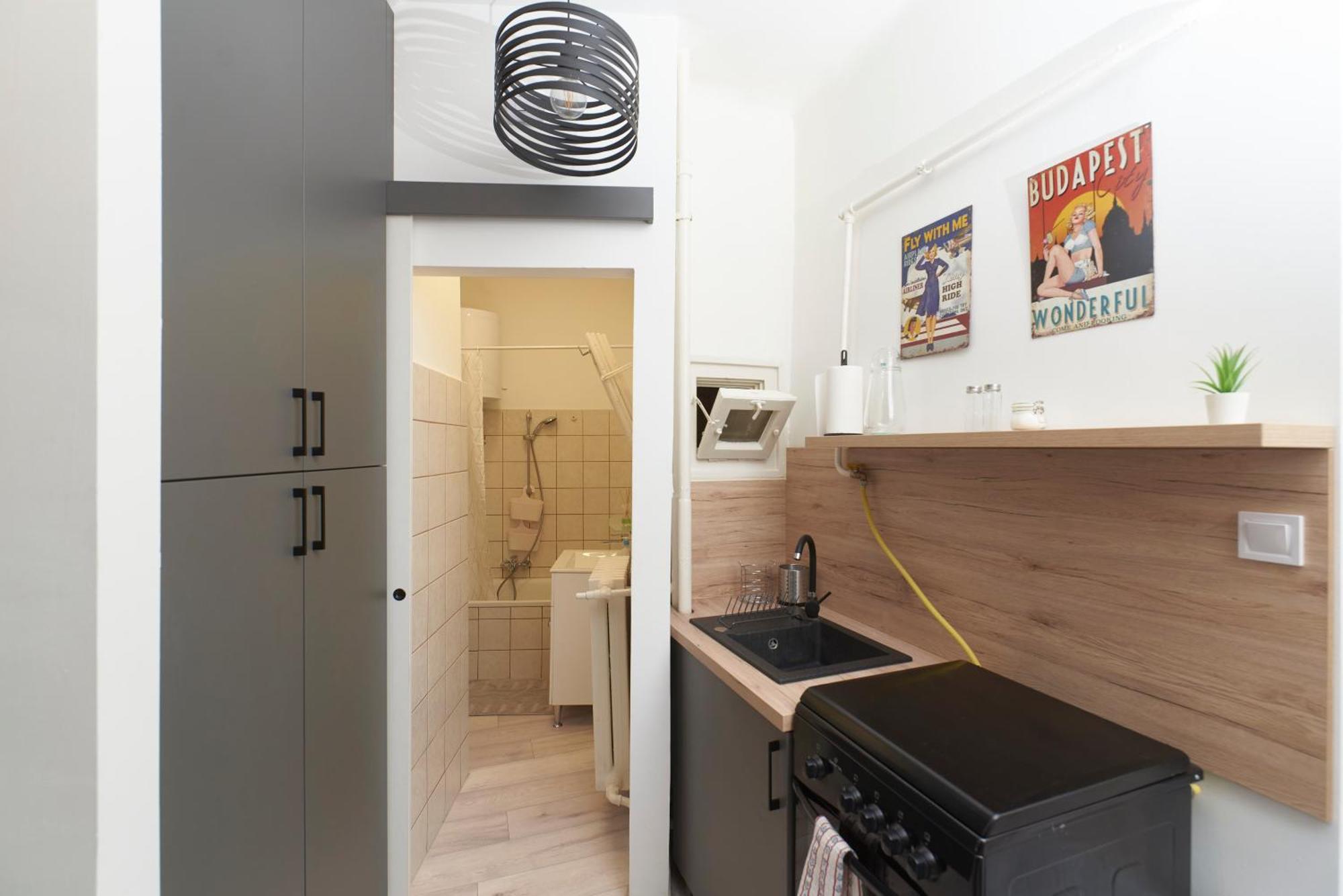 Apartment Tinodi Down Town Budapest